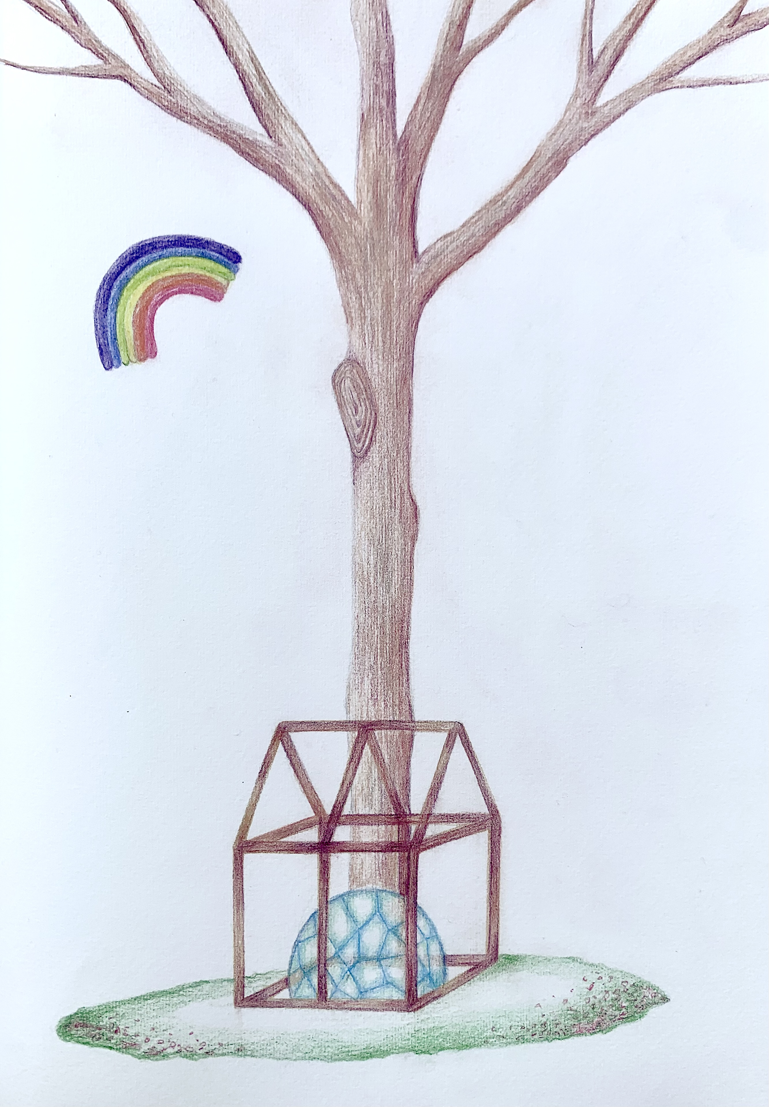 Drawing - Backyard Wonder