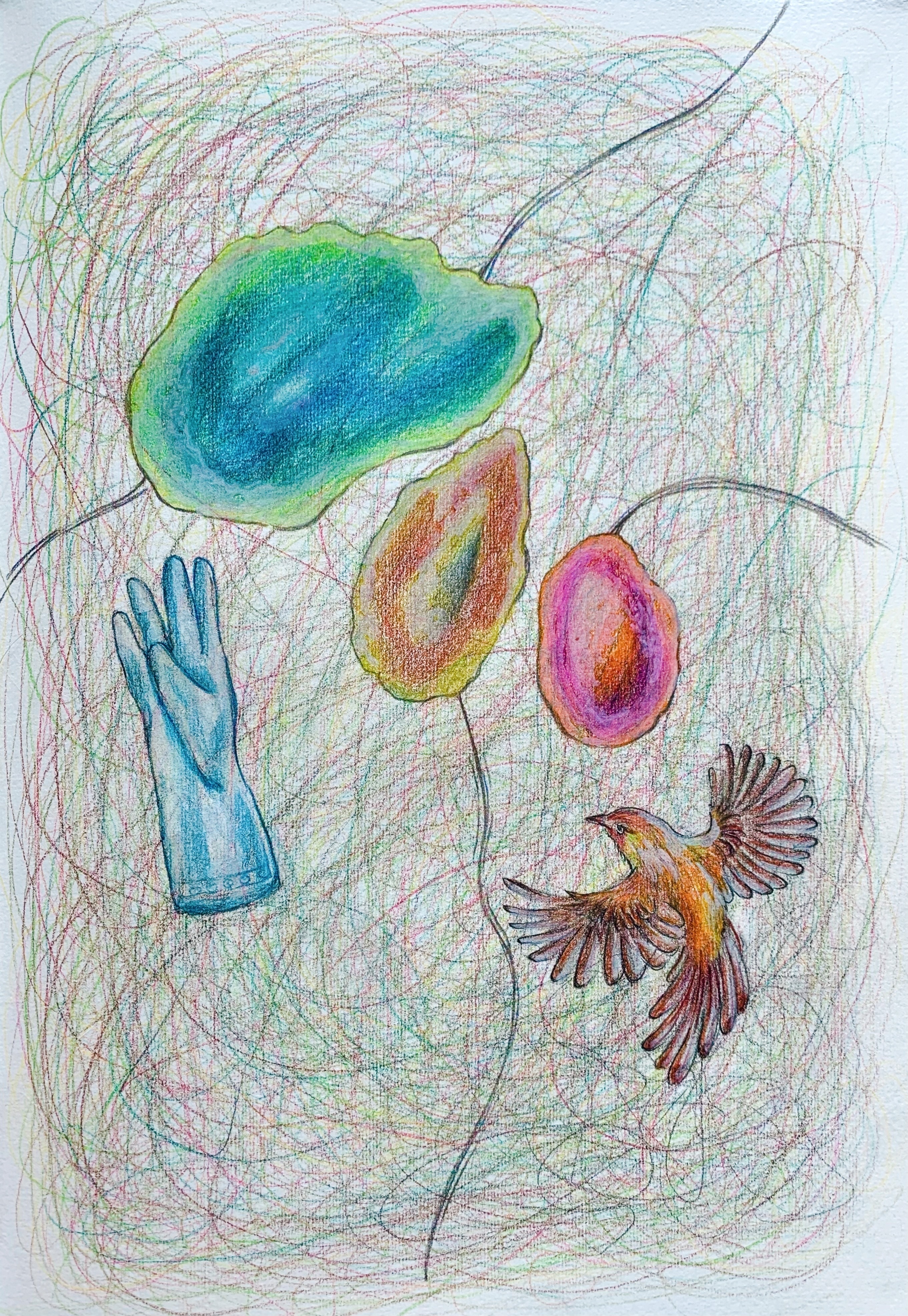 Drawing - Feather and Foam