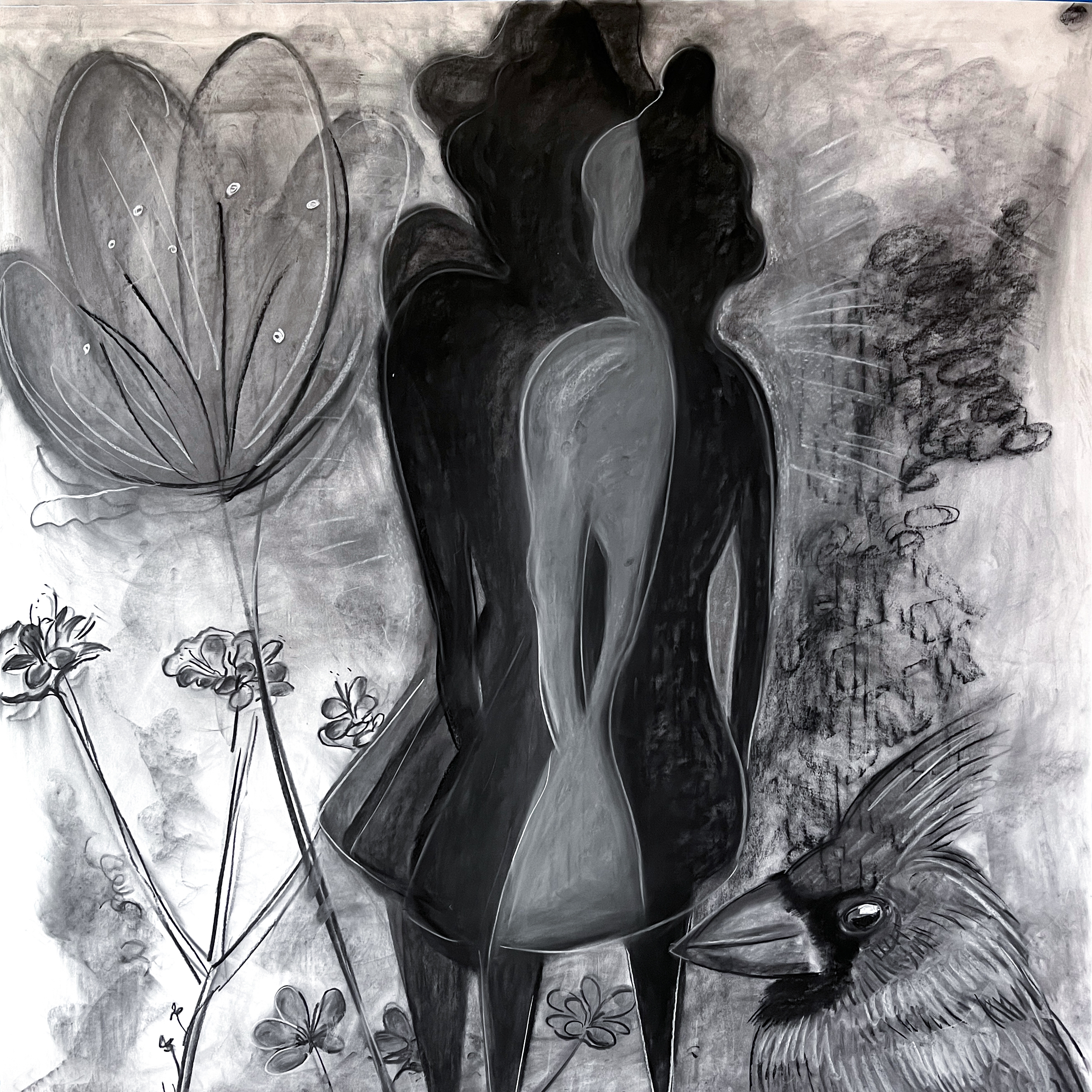 Monk and Cardinal - Charcoal on Paper